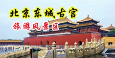 肏少妇屁眼视频中国北京-东城古宫旅游风景区
